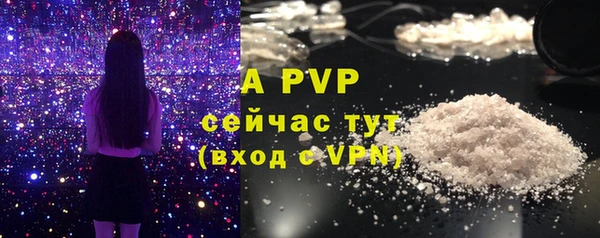 амф Зерноград
