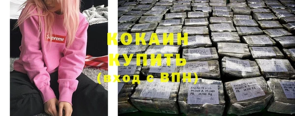 прущие грибы Иннополис