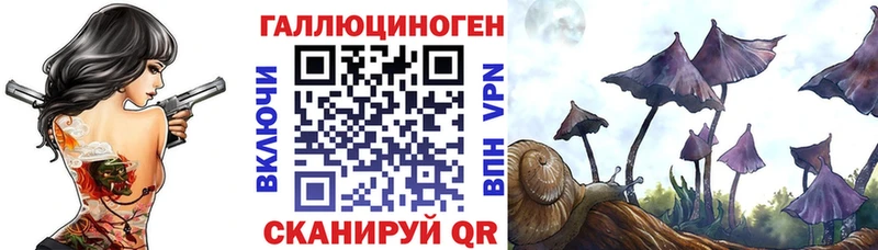 Купить где  Зуевка  Галлюциногенные грибы мицелий 