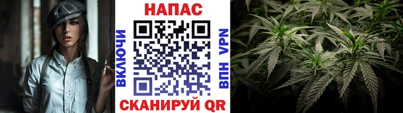 Купить  Зуевка  Шишки марихуана VHQ 